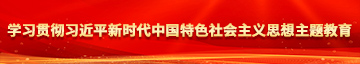 大鸡巴操骚逼视屏学习贯彻习近平新时代中国特色社会主义思想主题教育